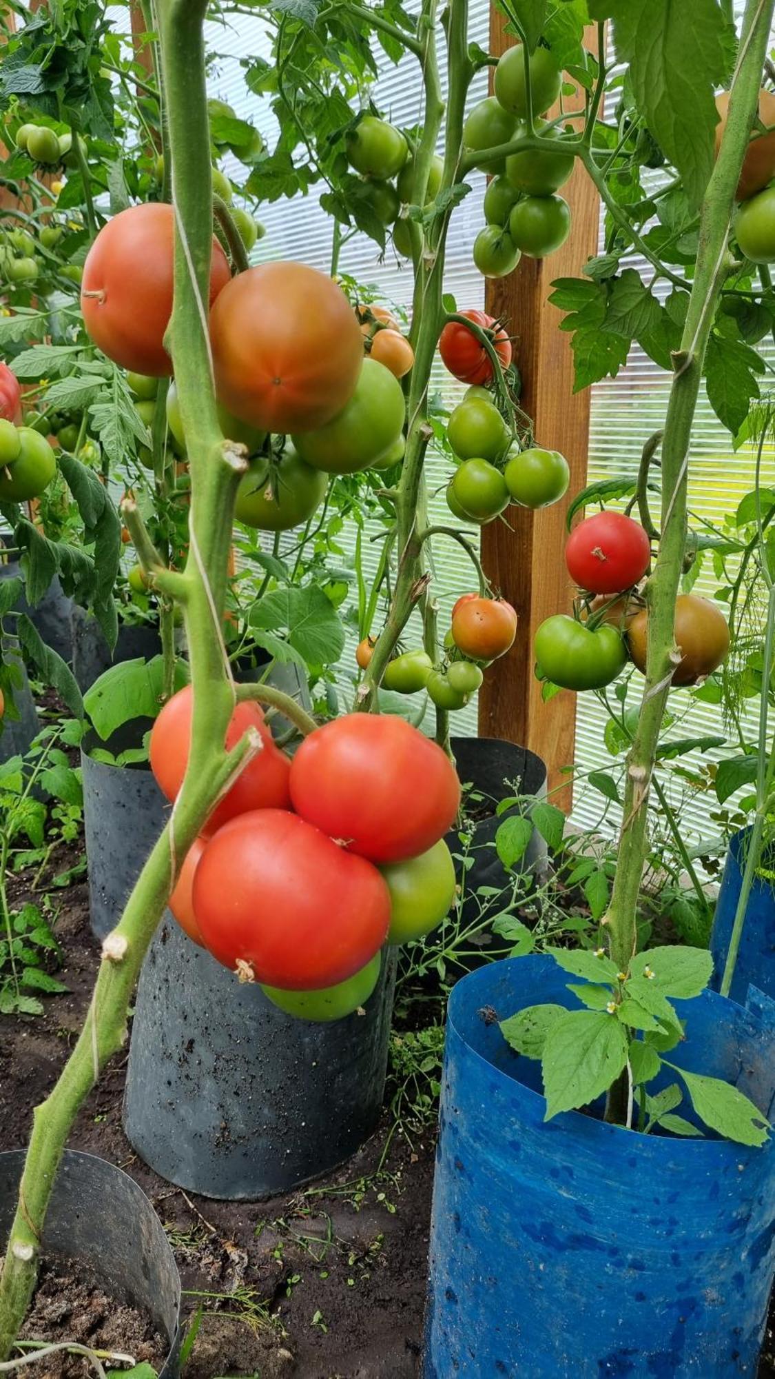 Zakatek Reja Lägenhet Kartuzy Exteriör bild